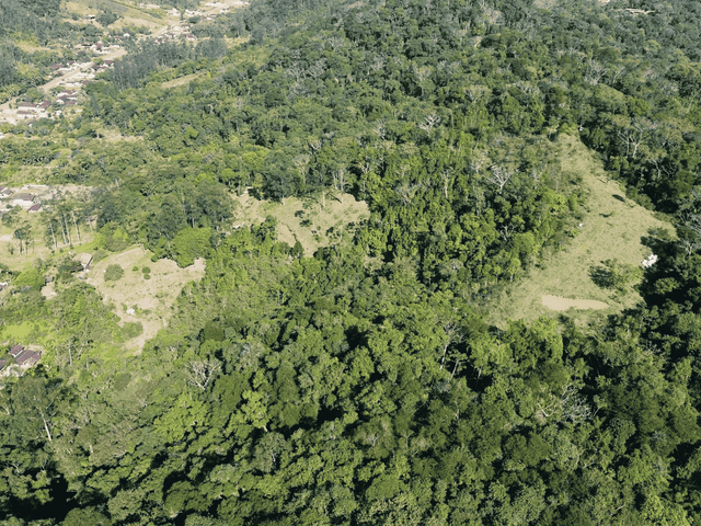 Terreno com 70000m², à venda, no bairro Vale do Selke Pequeno em Pomerode