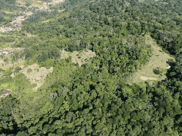 Terreno com 70000m², à venda, no bairro Vale do Selke Pequeno em Pomerode