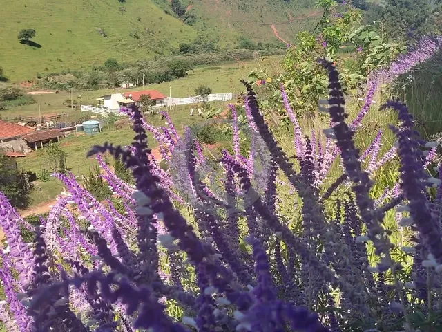 Terreno com 657m², à venda, no bairro Alphaville em Santana de Parnaíba
