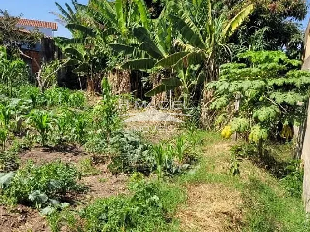 Terreno com 550m², à venda, no bairro Jardim Novo Campos Eliseos em Campinas