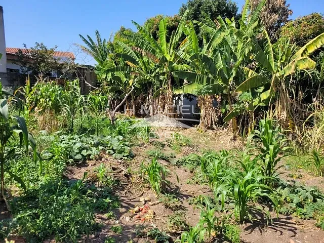 Terreno com 550m², à venda, no bairro Jardim Novo Campos Eliseos em Campinas