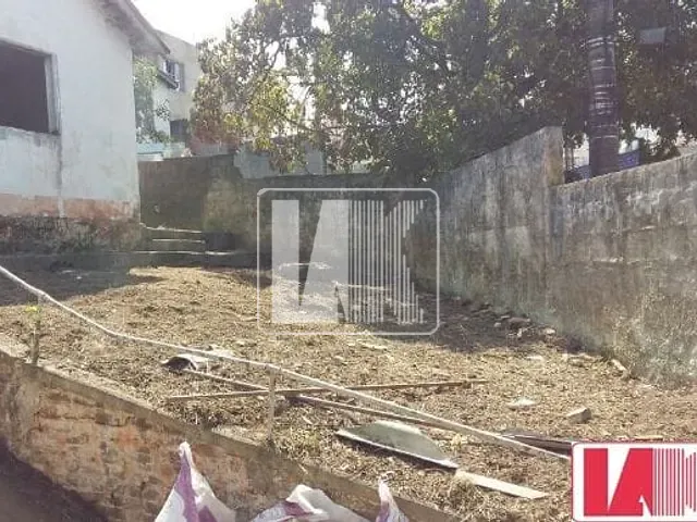 Terreno com 443m², à venda, no bairro Nova Gerti em São Caetano do Sul