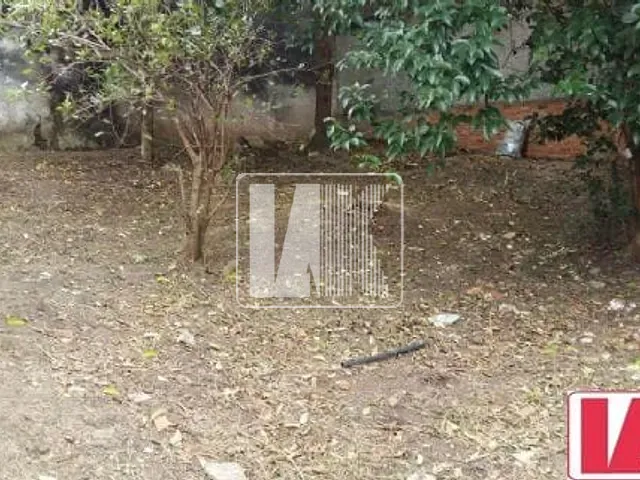 Terreno com 443m², à venda, no bairro Nova Gerti em São Caetano do Sul