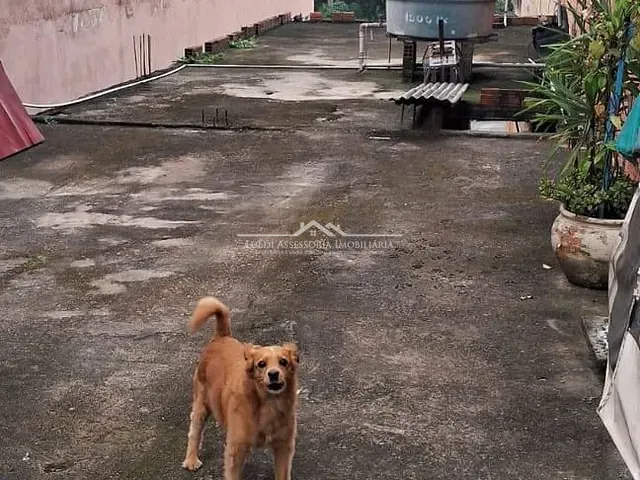 Terreno com 190m², à venda, no bairro Jardim Santa Terezinha (Zona Leste) em São Paulo