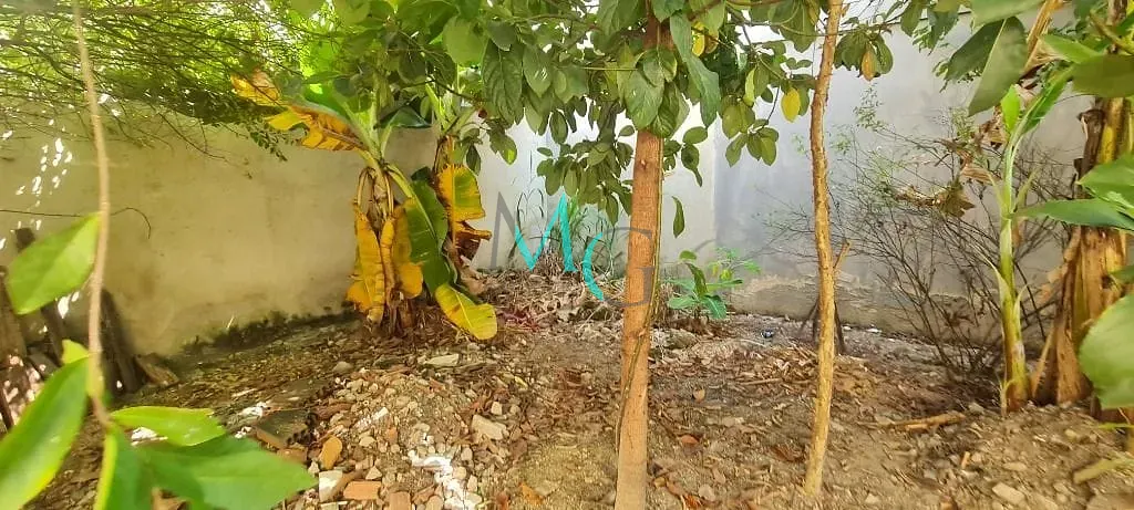 Terreno, 120 m² - Foto 6