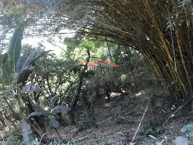 Terreno com 2540m², à venda, no bairro Santa Rita em Barra Mansa