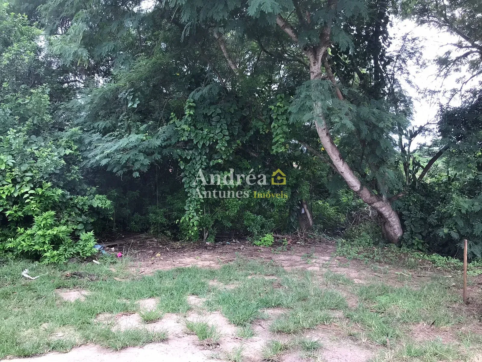 Terreno, 450 m² - Foto 19
