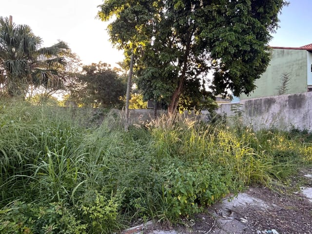 Terreno com 840m², à venda, no bairro Palmeiras em Cabo Frio