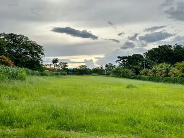 Terreno com 5000m², à venda, no bairro Residencial Jardim das Acácias em Mirassol