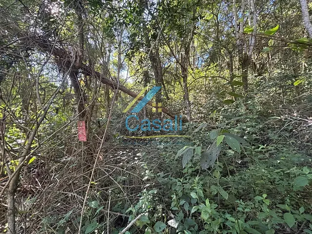 Terreno com 2634m², à venda, no bairro Vila Santo Antônio em São Roque