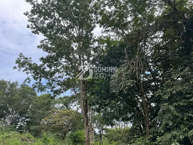 Terreno com 2506m², à venda, no bairro Fabrício em Uberaba