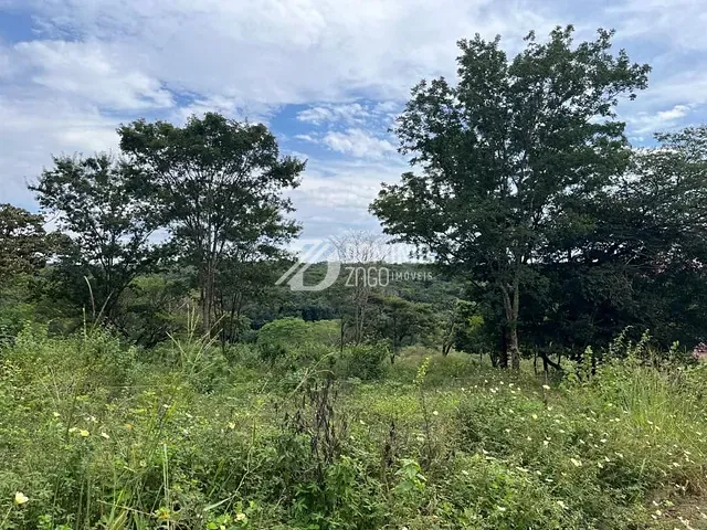 Terreno com 2506m², à venda, no bairro Fabrício em Uberaba