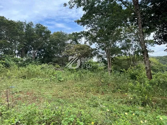 Terreno com 2506m², à venda, no bairro Fabrício em Uberaba