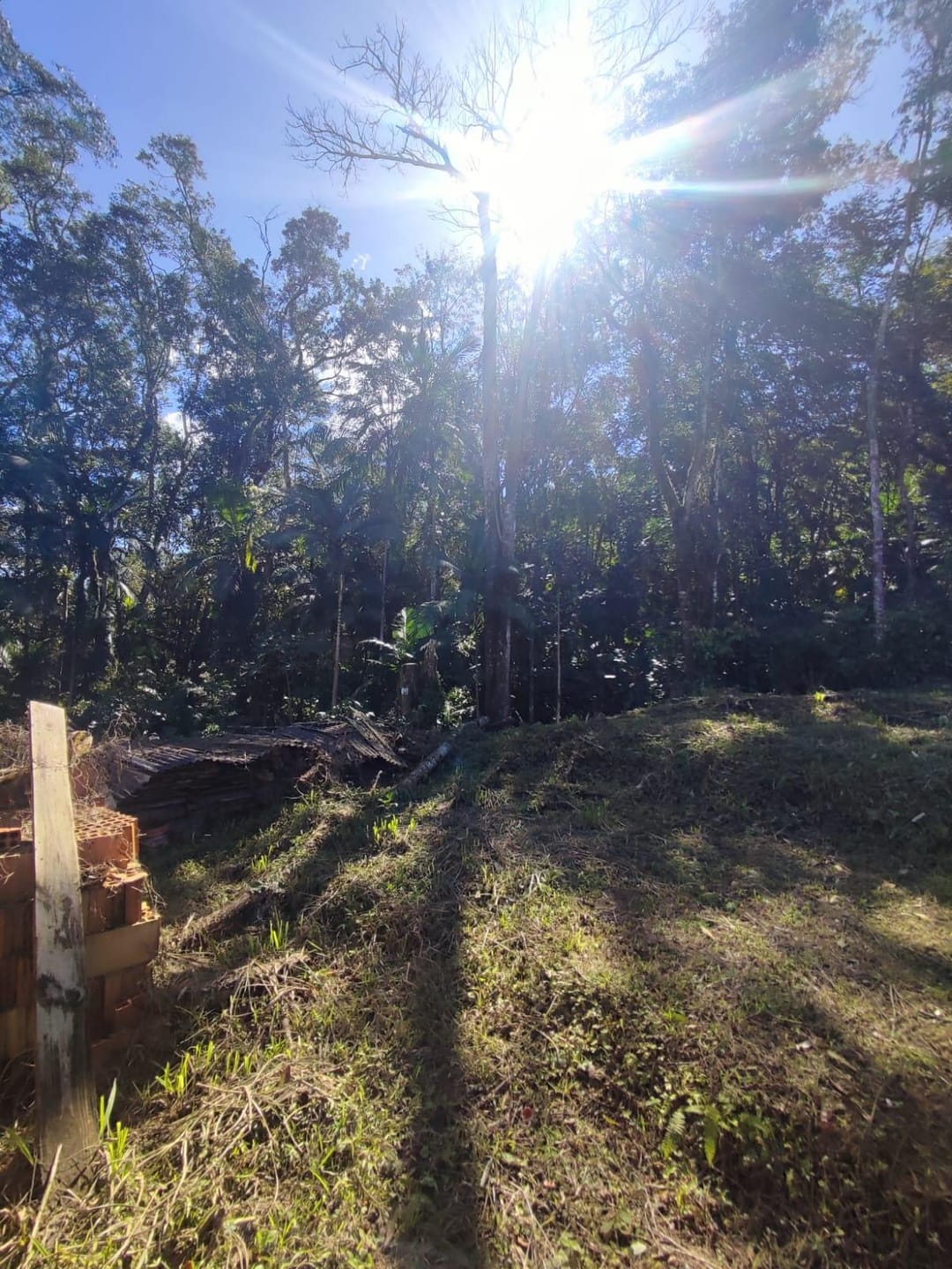 Terreno à venda, Testo Rega, Pomerode, SC — foto 7