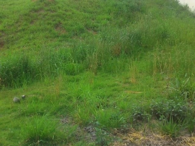 Terreno com 491m², à venda, no bairro Rainha em Louveira