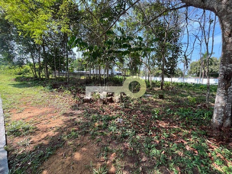 Terreno, 1834 m² - Foto 11