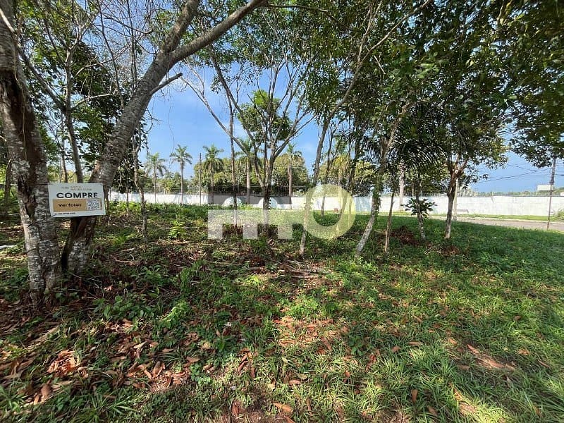 Terreno, 1834 m² - Foto 7