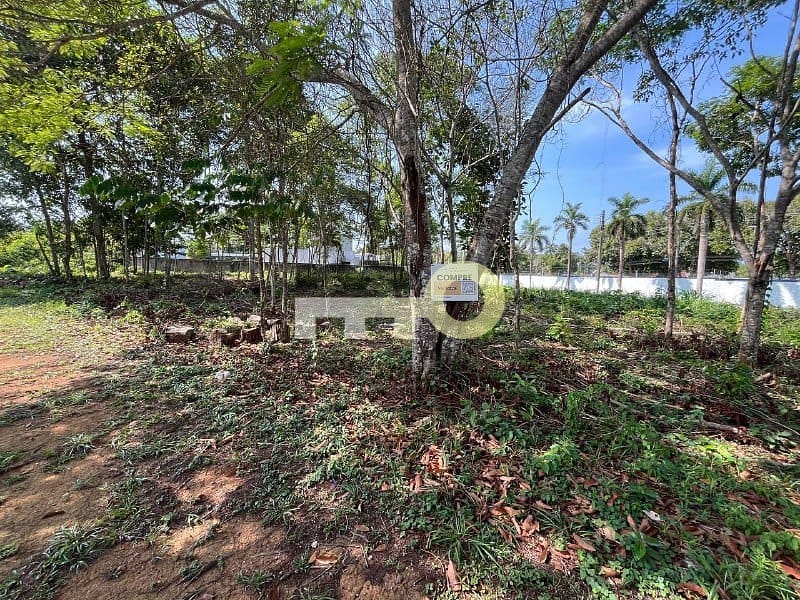 Terreno, 1834 m² - Foto 6