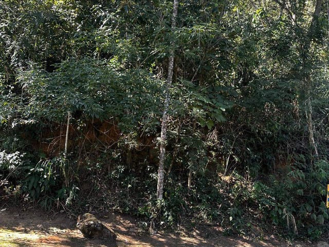 Terreno com 3786m², à venda, no bairro Samambaia em Petrópolis