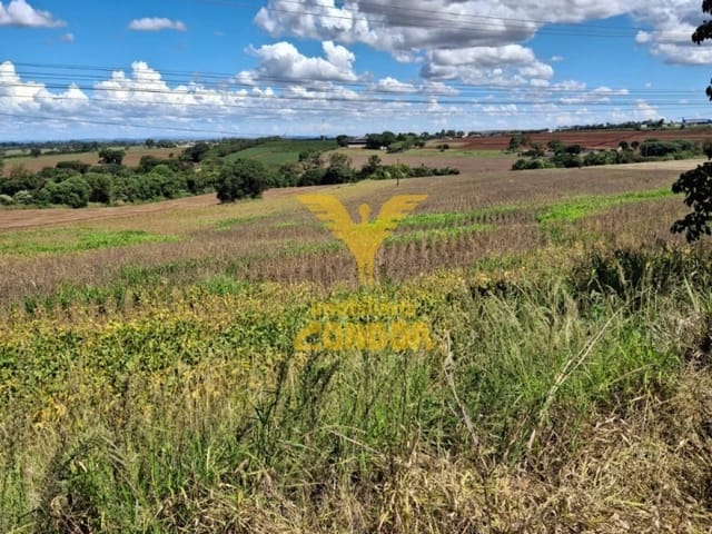 Terreno com 60500m², à venda, no bairro Vila Atalaia em Cambé