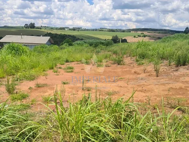 Terreno com 1200m², à venda, no bairro Pequena holanda em Carambeí