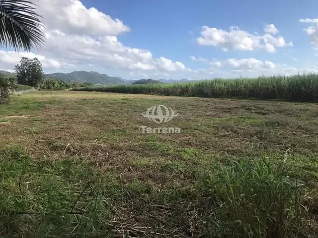 Terreno com 55000m², para alugar, no bairro Sete de Setembro em Gaspar