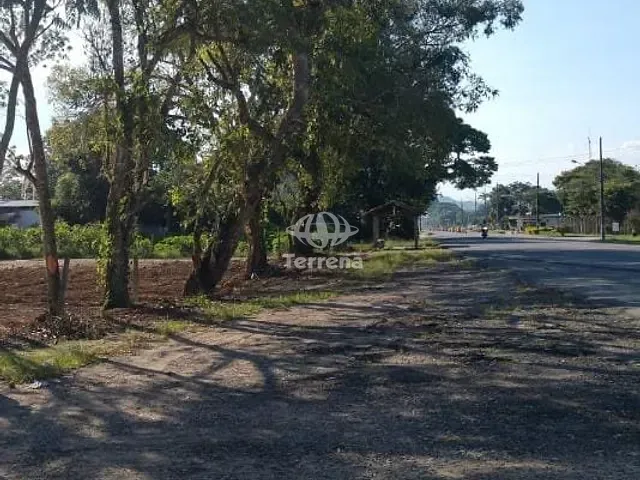Terreno com 55000m², para alugar, no bairro Sete de Setembro em Gaspar