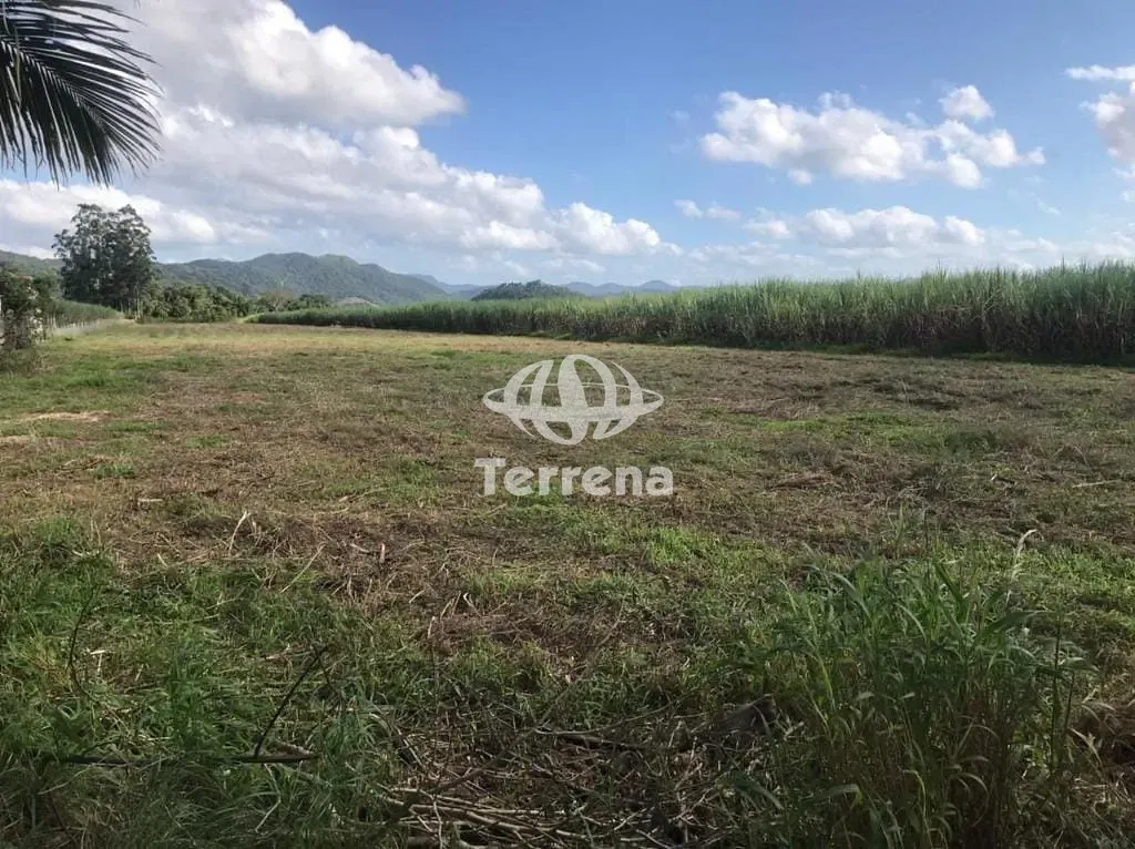 Terreno para alugar com 55.000 m - Rodovia Jorge Lacerda - Gaspar/SC - foto 1