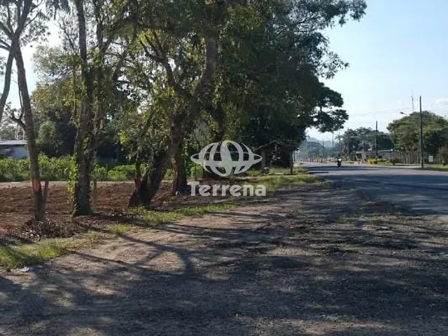 Terreno com 55000m², para alugar, no bairro Sete de Setembro em Gaspar