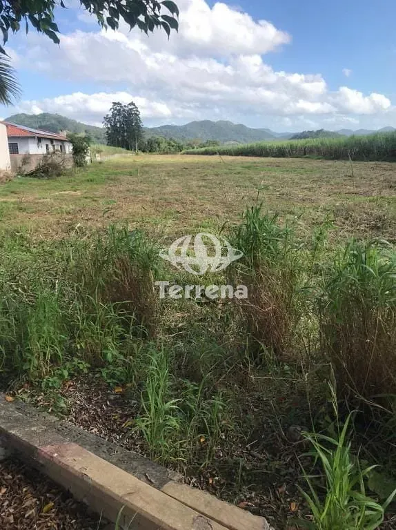 Terreno para alugar com 55.000 m - Rodovia Jorge Lacerda - Gaspar/SC — foto 6