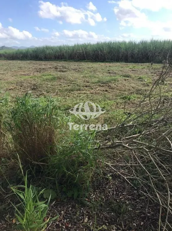 Terreno para alugar com 55.000 m - Rodovia Jorge Lacerda - Gaspar/SC — foto 7
