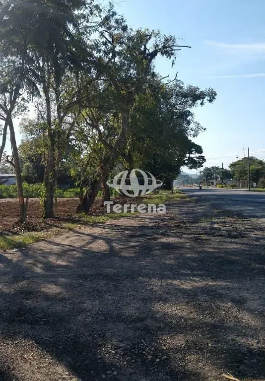 Terreno para alugar com 55.000 m - Rodovia Jorge Lacerda - Gaspar/SC — foto 5