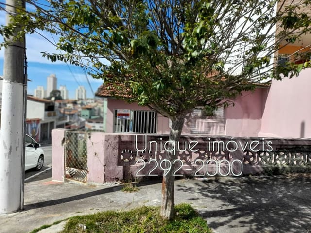 Foto do Terreno - Terreno à venda, 132 m² por R$ 490.000,00 - Vila Carrão - São Paulo/SP | Unique Imóveis