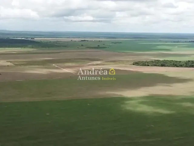 Fazenda com 20303m², à venda, no bairro Santa Terezinha em Santa Terezinha