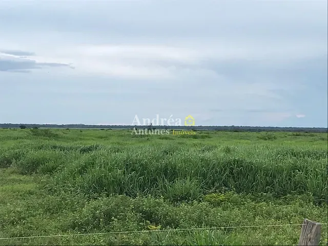 Fazenda com 20303m², à venda, no bairro Santa Terezinha em Santa Terezinha