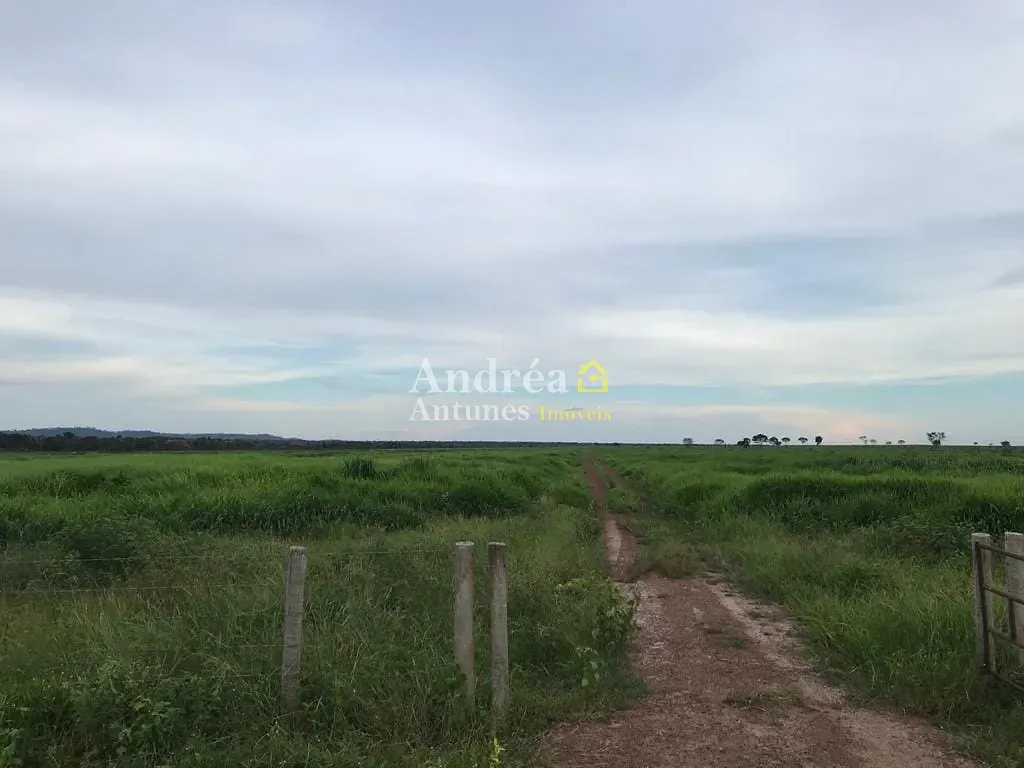 Fazenda, 2 hectares - Foto 31