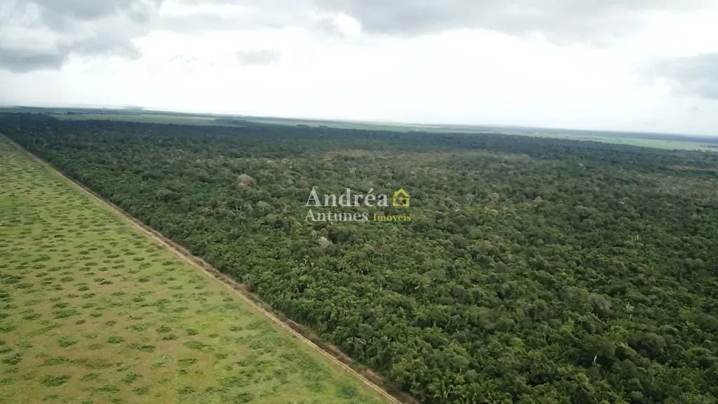 Fazenda, 2 hectares - Foto 32