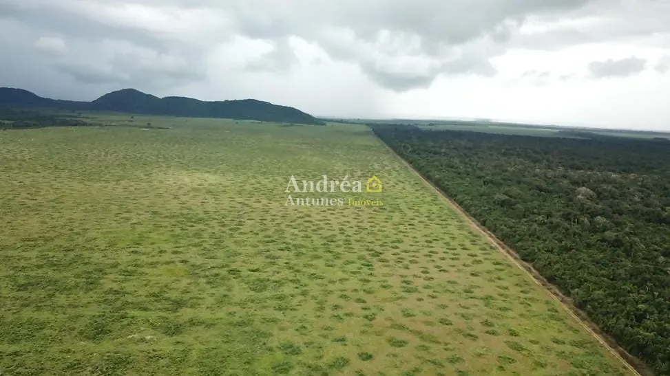 Fazenda, 2 hectares - Foto 34