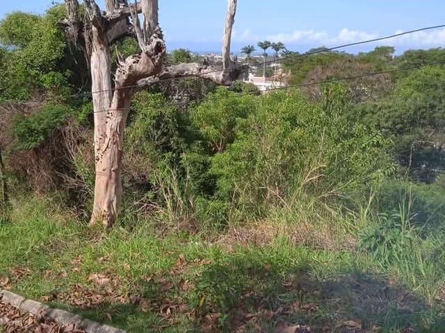 Terreno com 550m², à venda, no bairro Loteamento Extensão do Serramar em Rio das Ostras