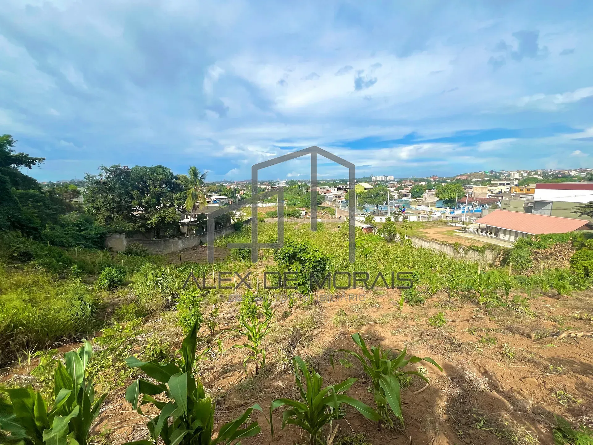 Terreno, 7400 m² - Foto 14