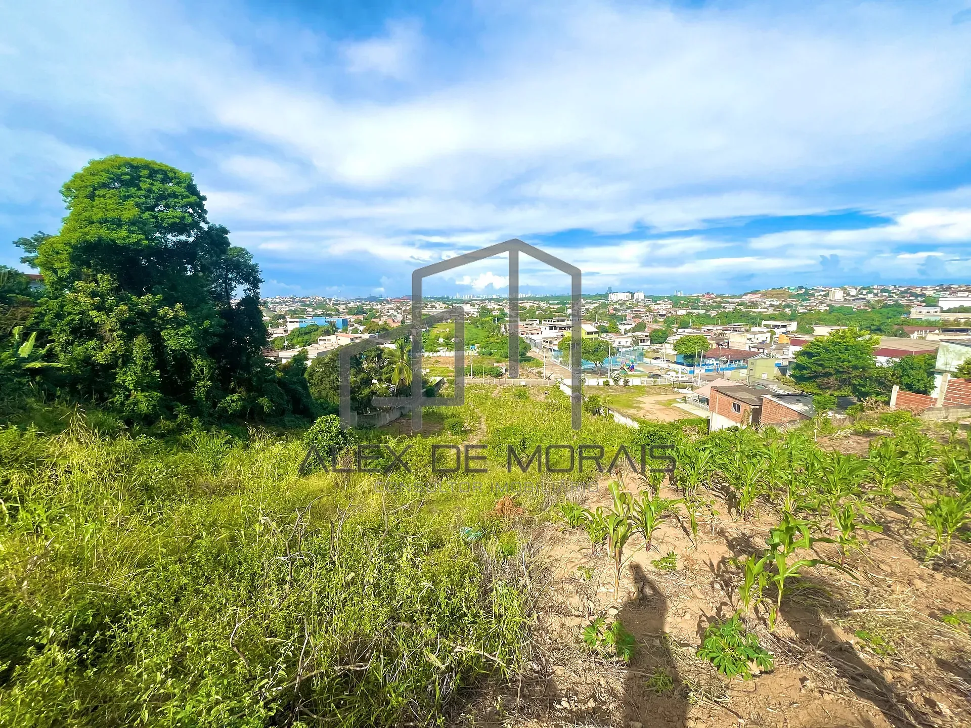 Terreno, 7400 m² - Foto 15