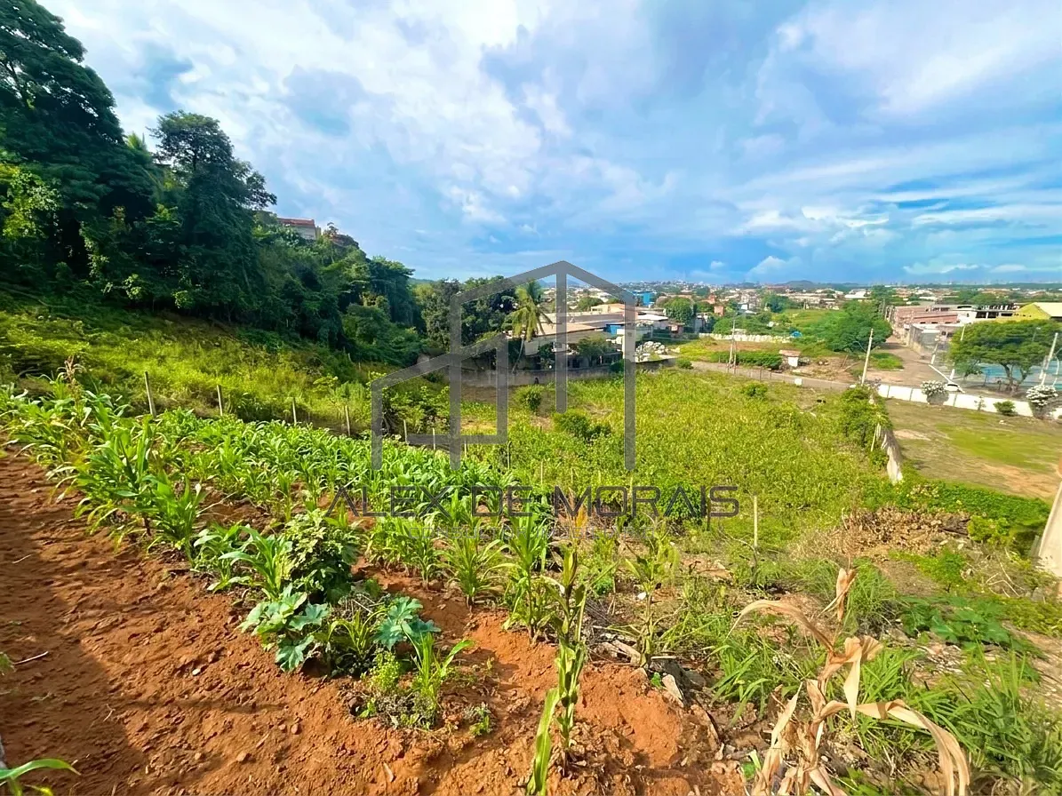 Terreno, 7400 m² - Foto 17