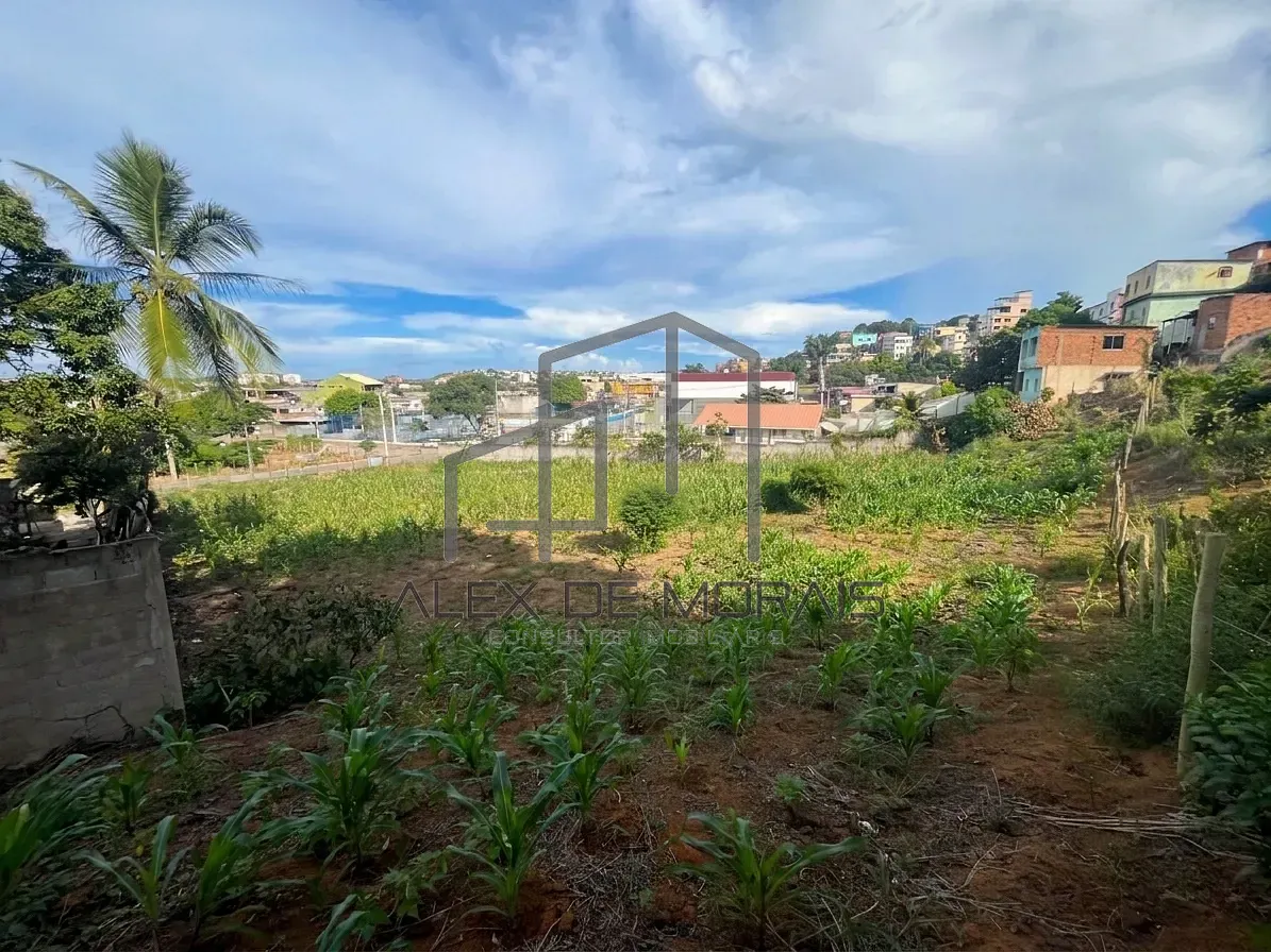 Terreno, 7400 m² - Foto 12