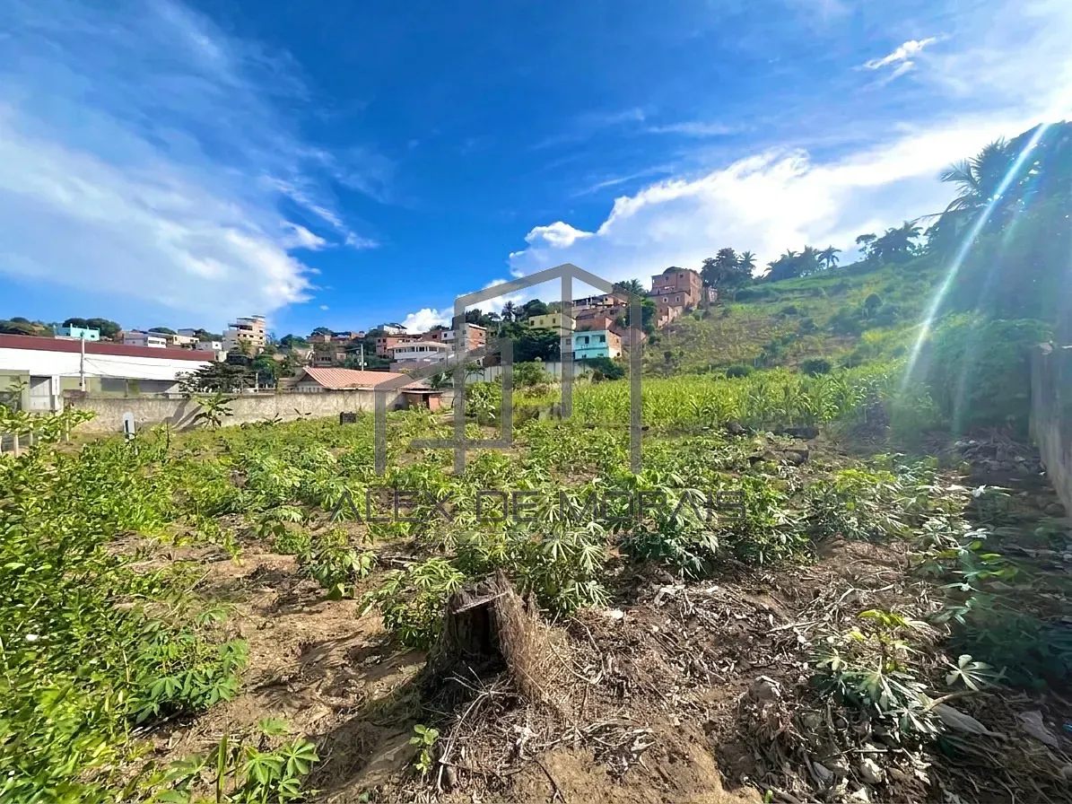 Terreno, 7400 m² - Foto 13