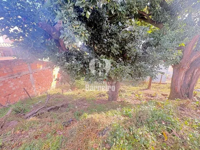 Terreno com 222m², à venda, no bairro Diamante em Belo Horizonte