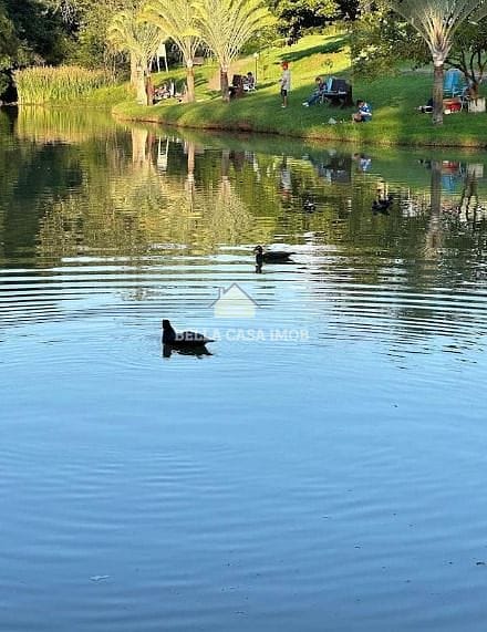 Terreno, 246 m² - Foto 6