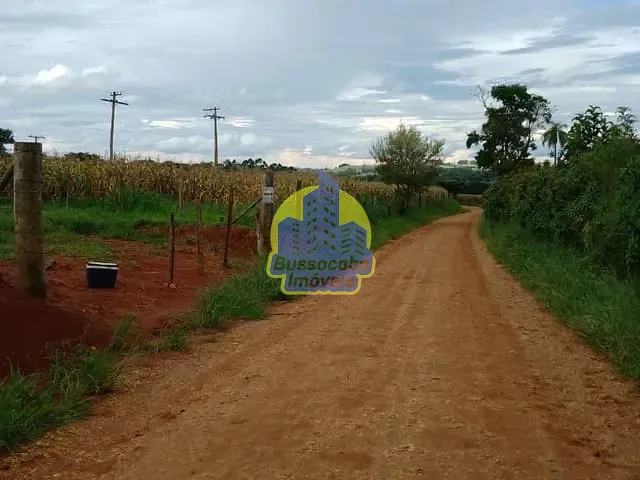 Terreno com 1000m², à venda, no bairro São Bento em Quadra
