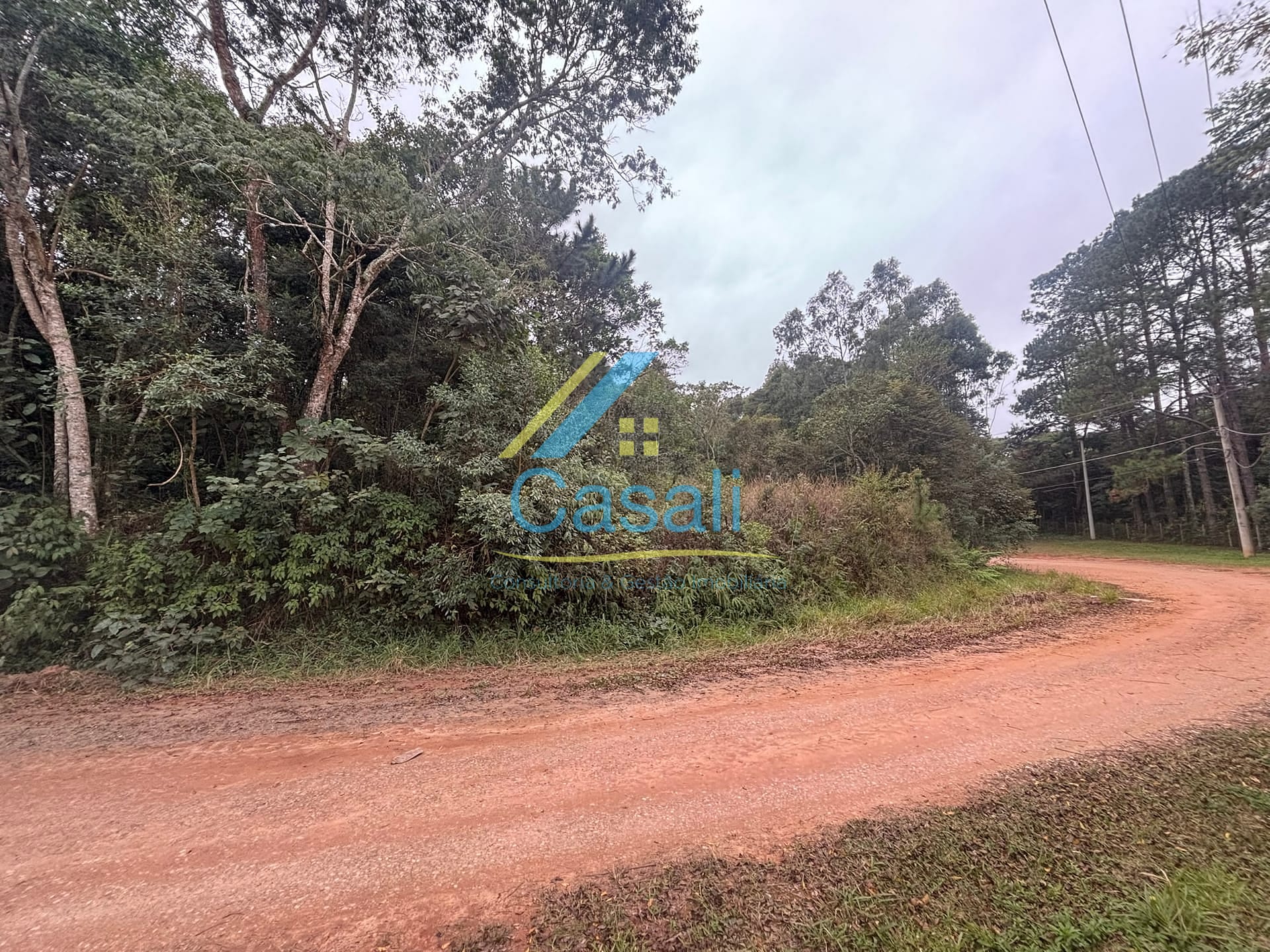 Terreno, 3118 m² - Foto 13