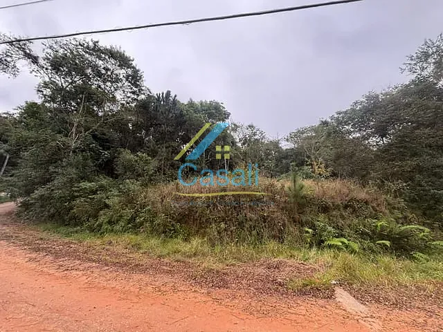 Terreno com 3118m², à venda, no bairro Caete (Mailasqui) em São Roque