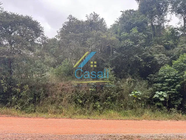 Terreno com 3118m², à venda, no bairro Caete (Mailasqui) em São Roque